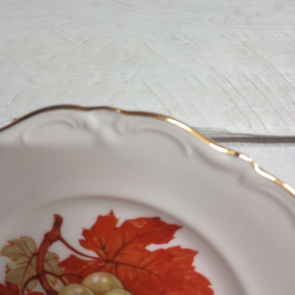 Set of 2 Vintage Fruit & Nut Designs Plates Winterling Roslau Bavaria Germany - Picture 7 of 10